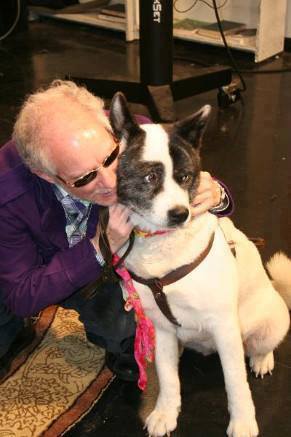 497823827 9333155863455871 1784692647146775904 n